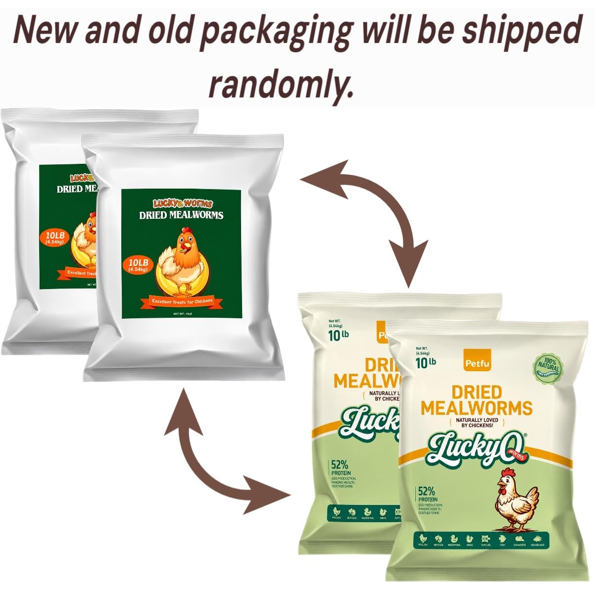 Dried Mealworms High Protein Birds Treat B172920