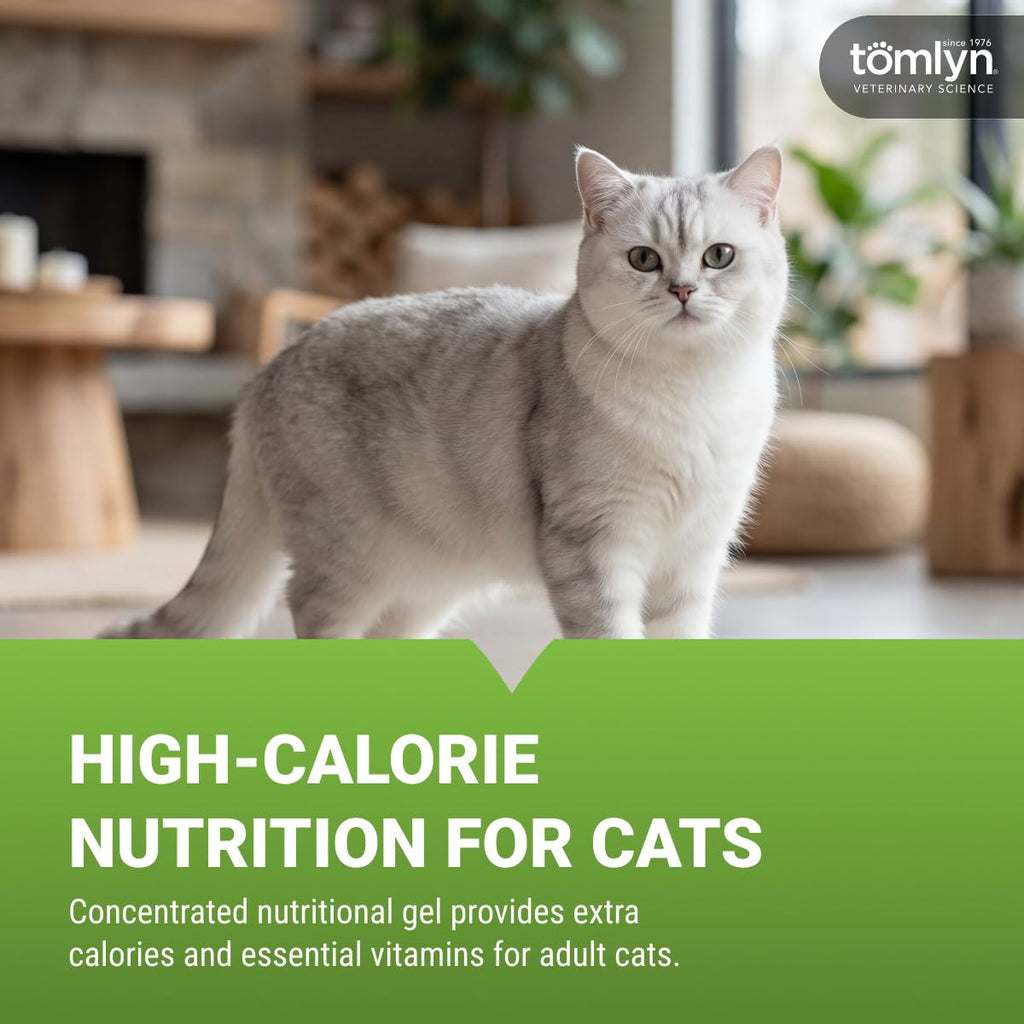 High Calorie Gel for Cats 4.25 oz Y60801