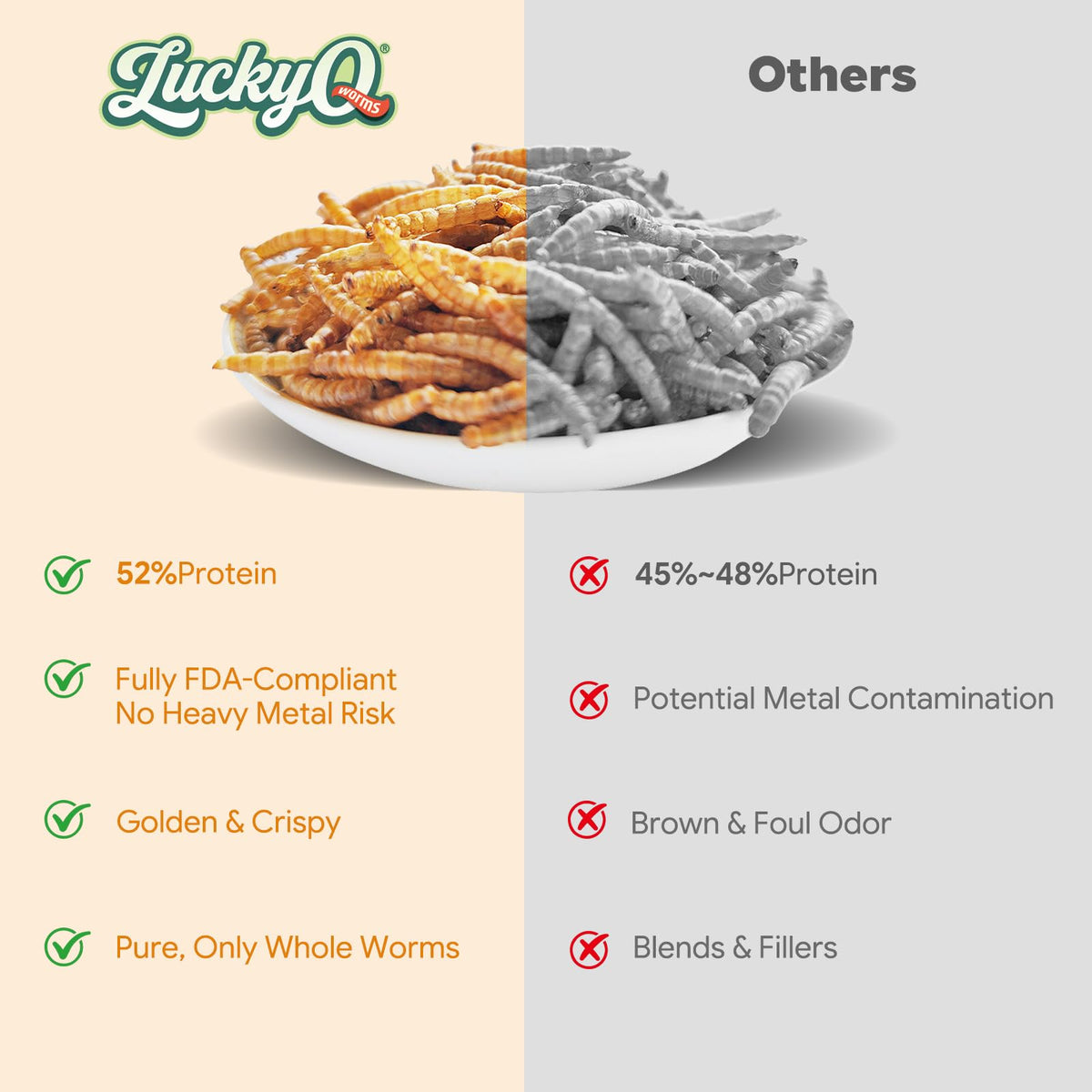 Dried Mealworms High Protein Birds Treat B172920