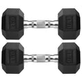 Rubber Coated Cast Iron Hex Dumbbells C1249