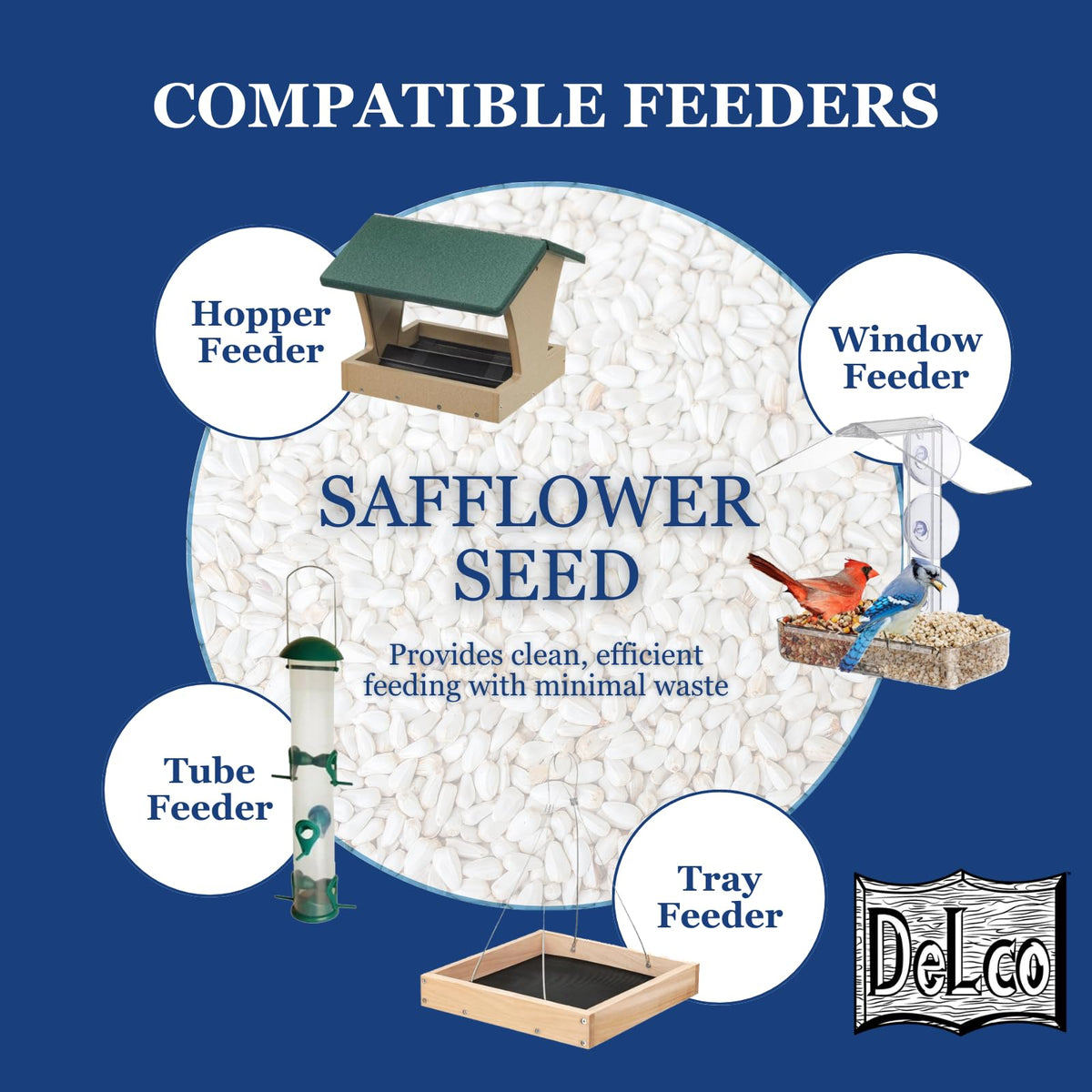 Safflower Wild Bird Seed 20 lb Bag P883