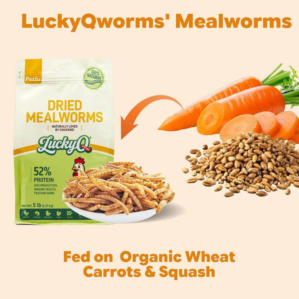 Dried Mealworms High Protein Birds Treat B172920