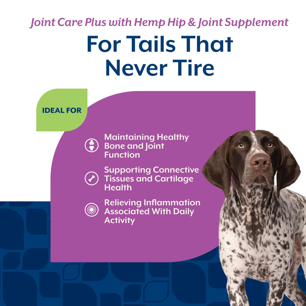 Hip & Joint Supplement for Dogs 120ct O5362