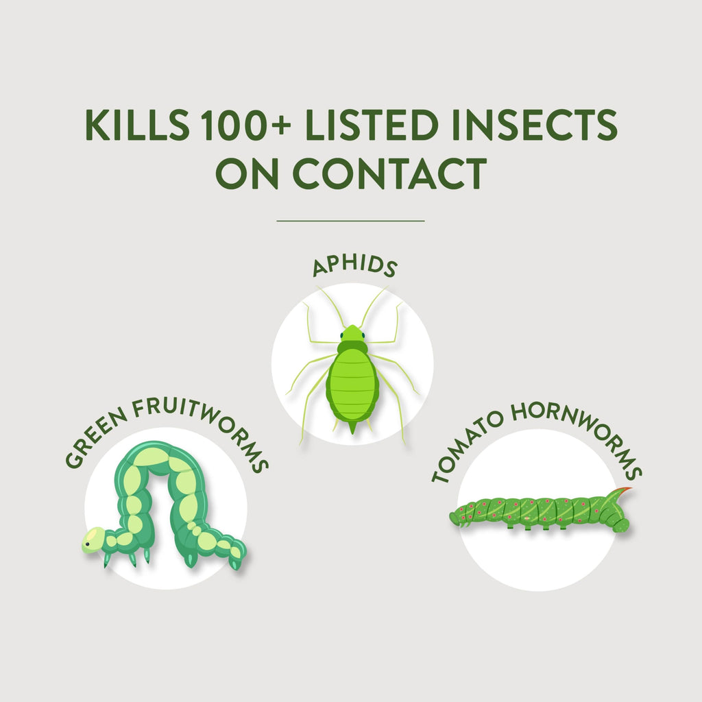 Multi-Purpose Garden Insect Killer 32Oz R803041