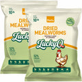 Dried Mealworms High Protein Birds Treat B172920