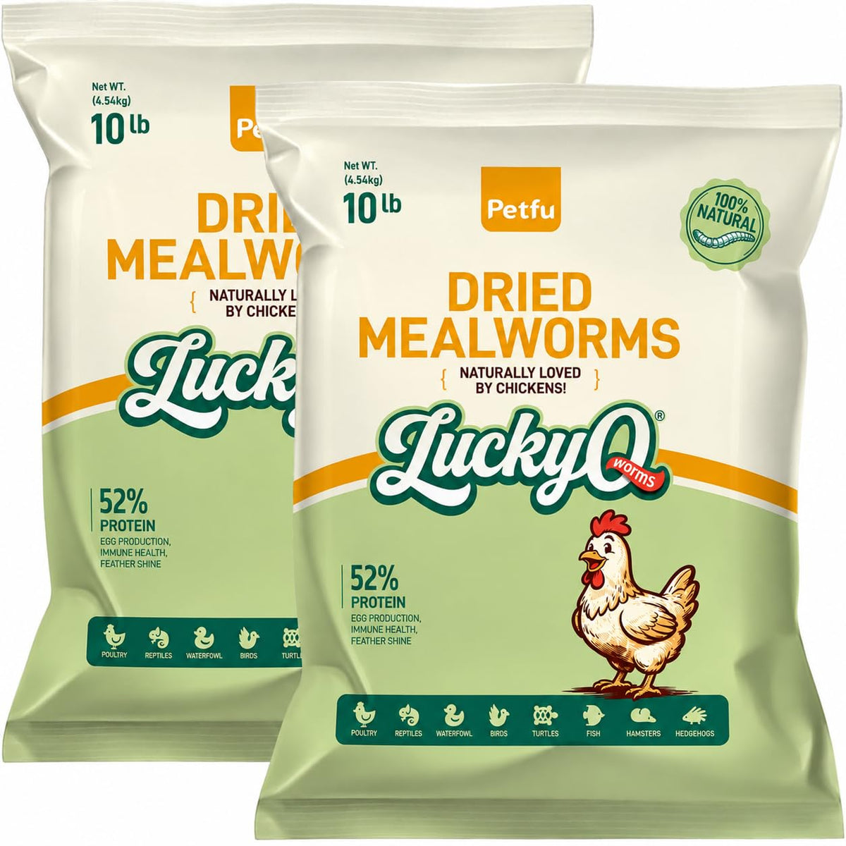 Dried Mealworms High Protein Birds Treat B172920