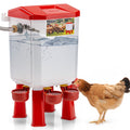 Automatic Chicken Waterer with Four Water Cups X460