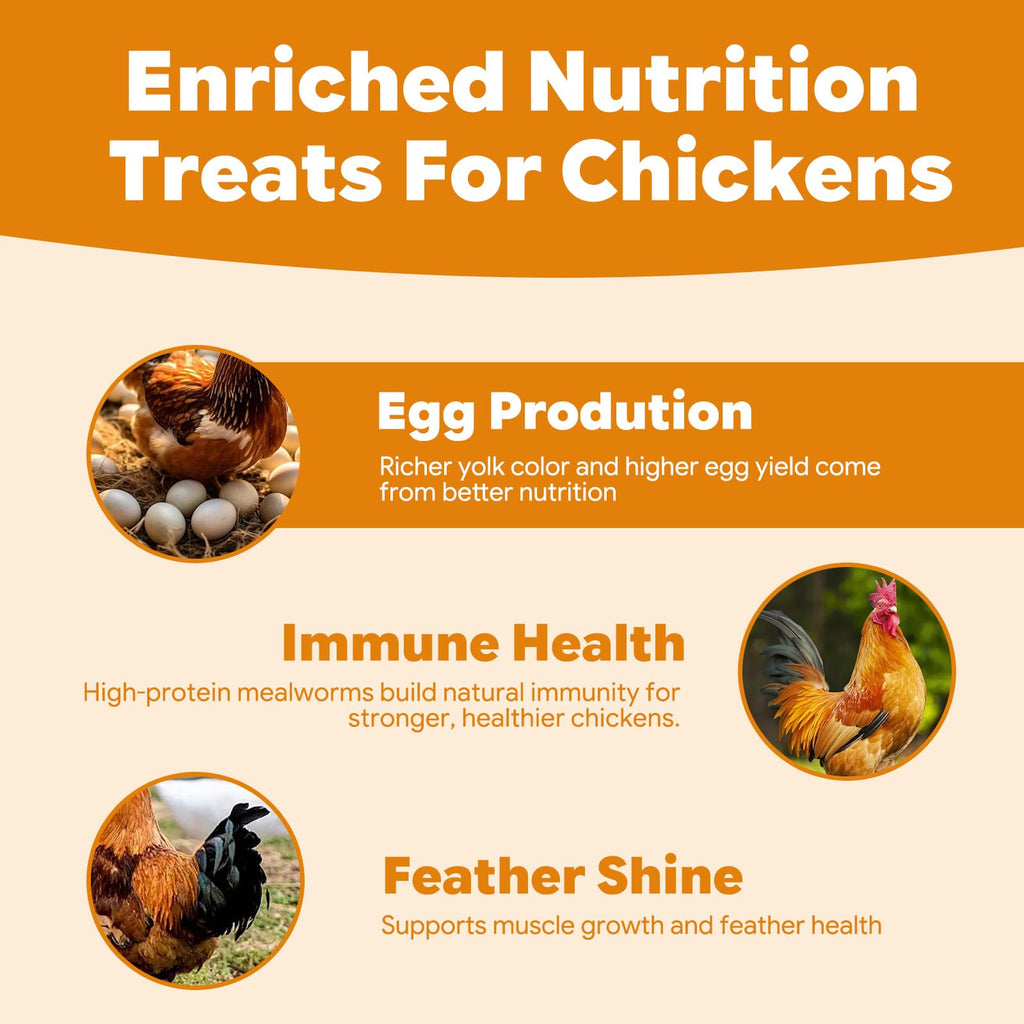 Dried Mealworms High Protein Birds Treat B172920