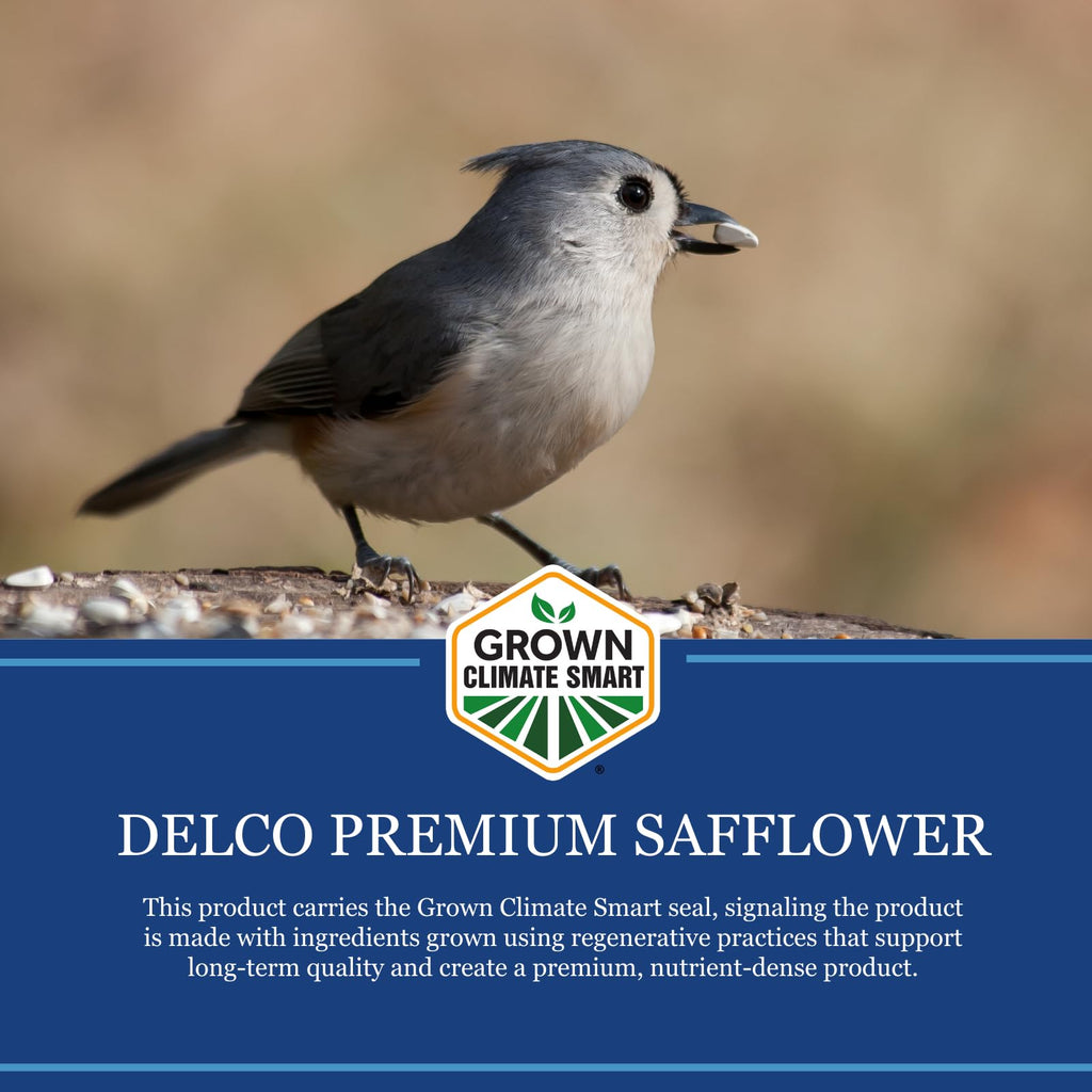 Safflower Wild Bird Seed 20 lb Bag P883