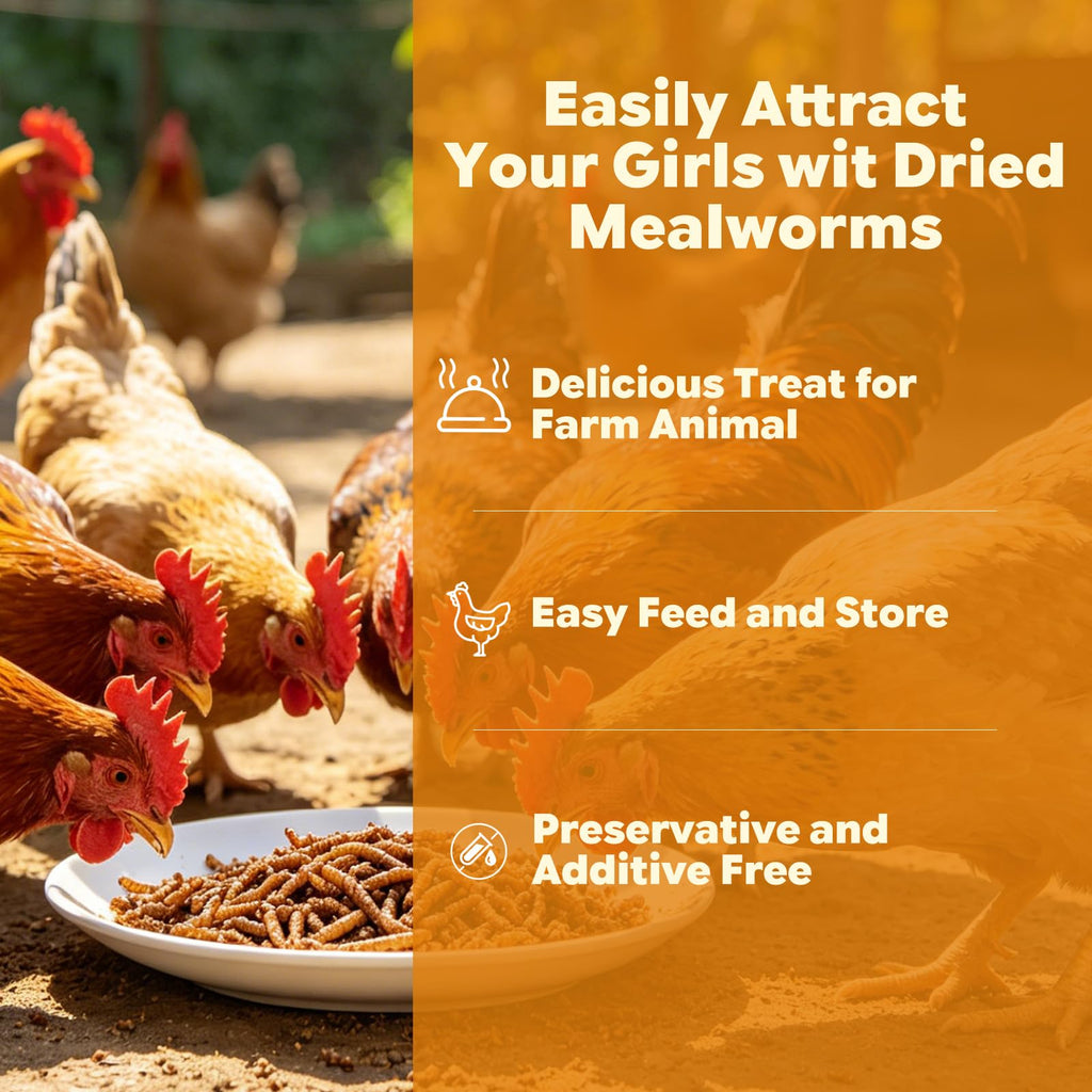 Dried Mealworms High Protein Birds Treat B172920
