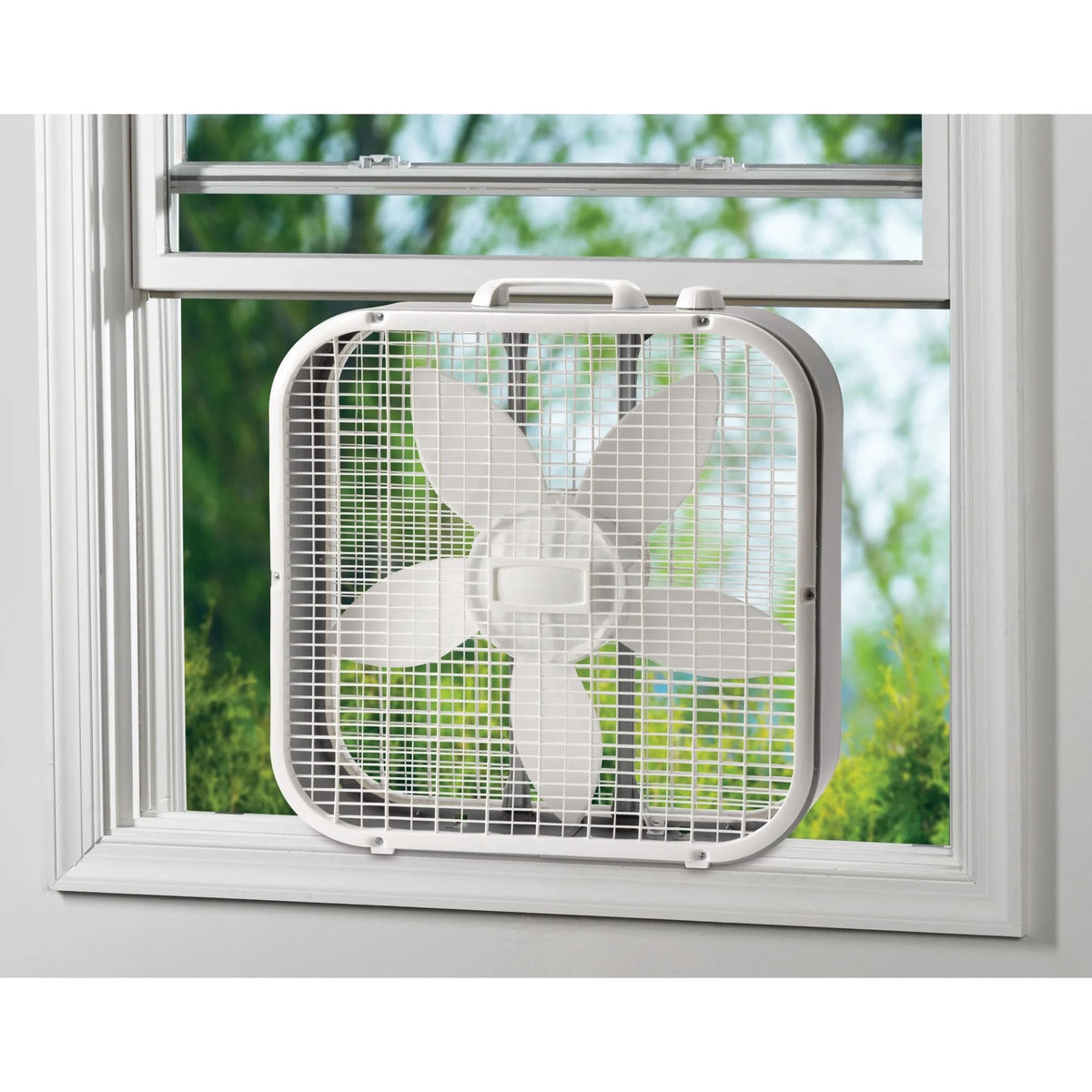 20-inch 5-Blade Box Fan Y57421