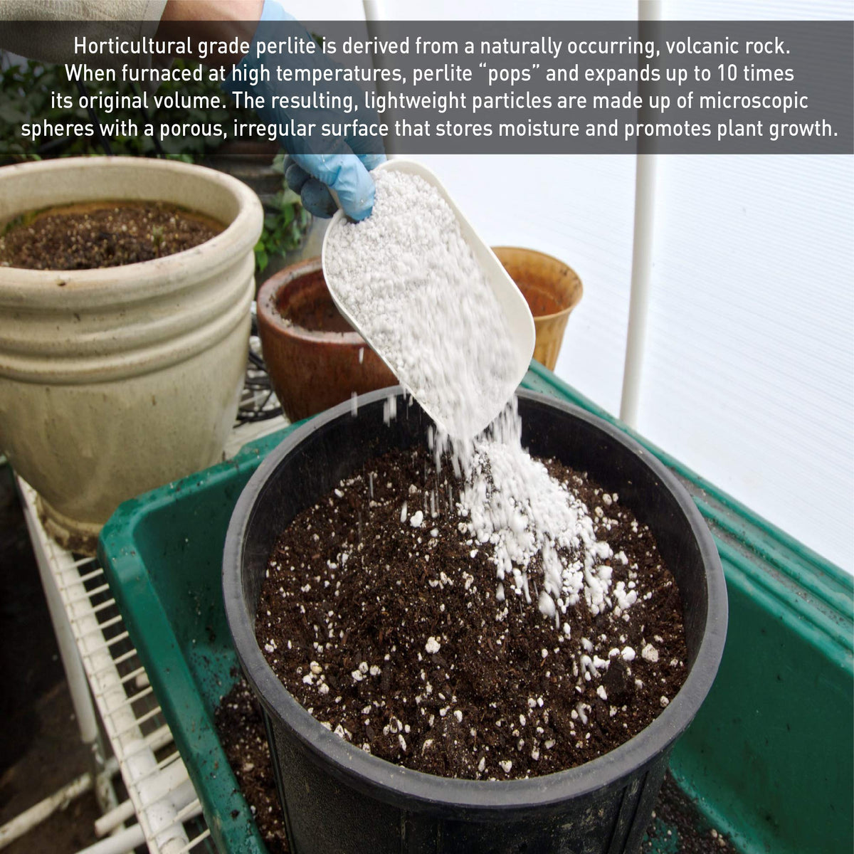 Horticultural Grade Expanded Perlite 4 Cubic Foot J7132