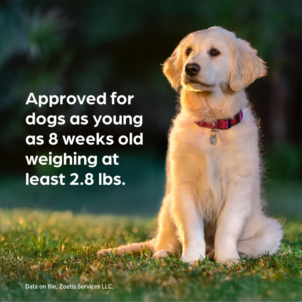 Chewable for Dogs Liver Flavor 88.1-132 lbs 1-Month R665163