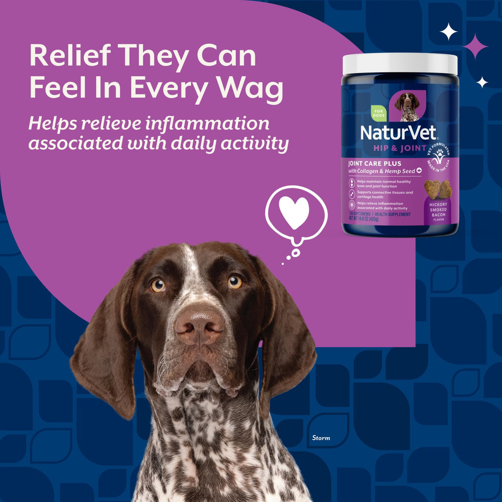 Hip & Joint Supplement for Dogs 120ct O5362