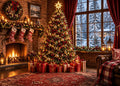 Fabric Christmas Window Backdrop F24074