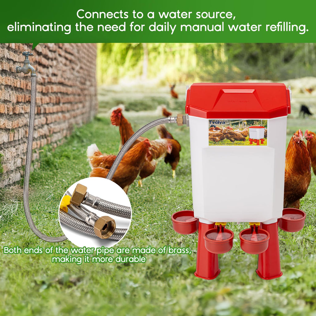 Automatic Chicken Waterer with Four Water Cups X460
