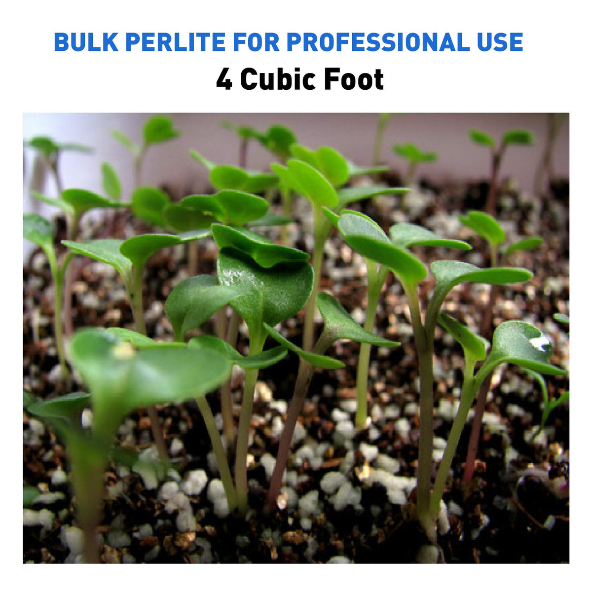 Horticultural Grade Expanded Perlite 4 Cubic Foot J7132
