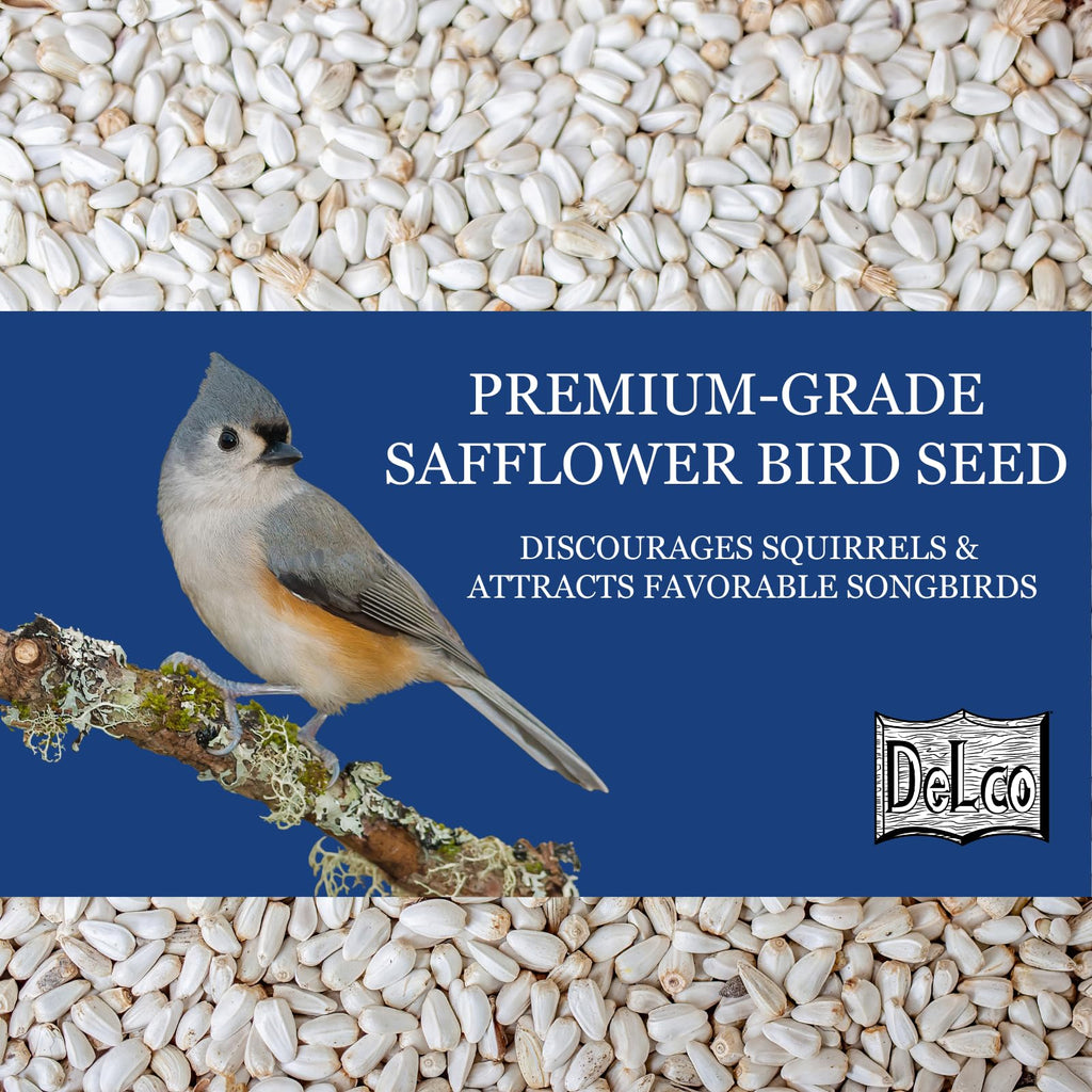 Safflower Wild Bird Seed 20 lb Bag P883