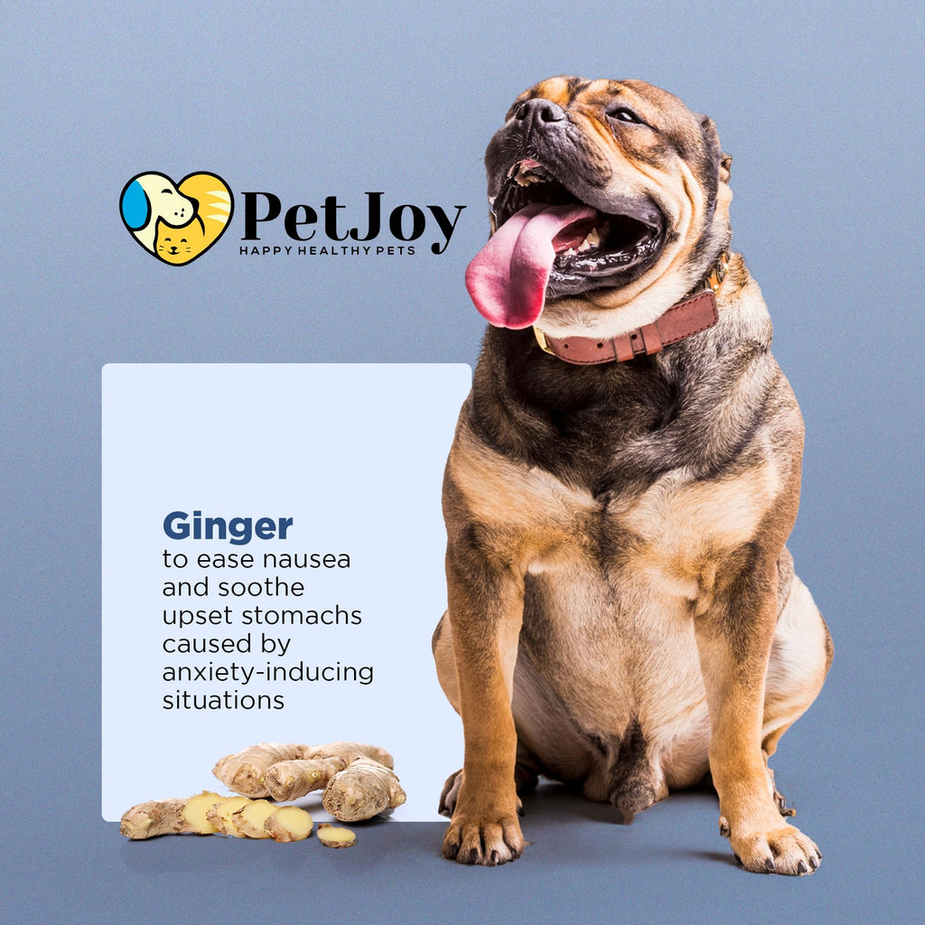 Hemp Calming Chews for Dogs with Chamomile 60 Bacon Treats J4296