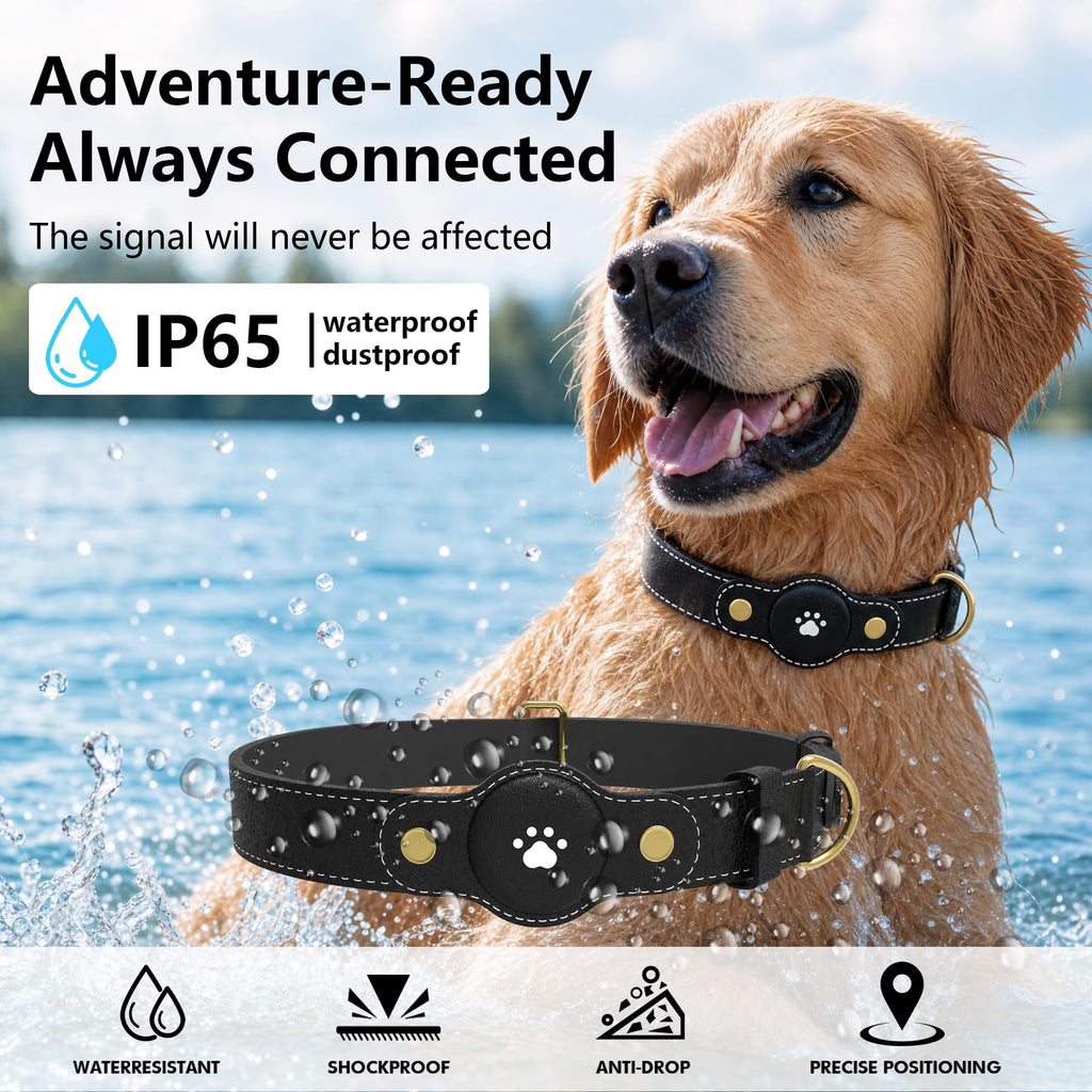 GPS Tracker for Dogs – Smart Dog Collar & Pet Tracker N378907