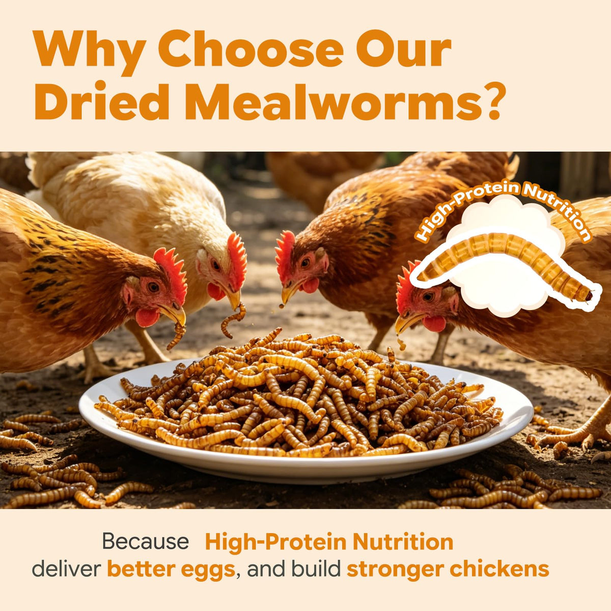 Dried Mealworms High Protein Birds Treat B172920