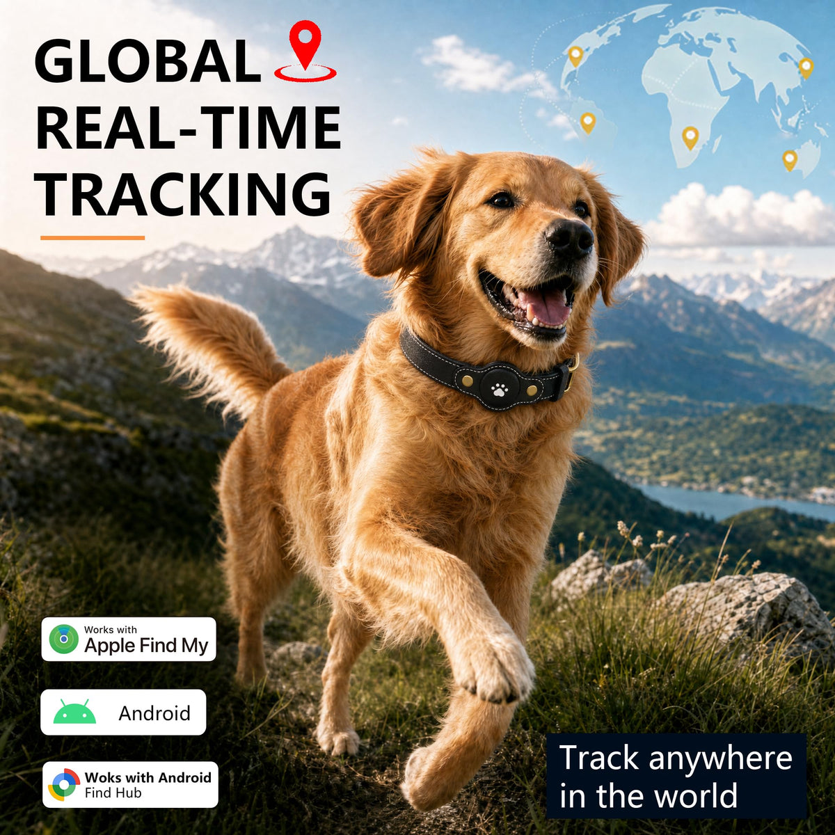 GPS Tracker for Dogs – Smart Dog Collar & Pet Tracker N378907